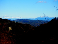 R0011095.JPG