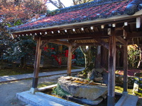 R0011101.JPG
