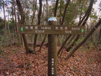 R0011125.JPG
