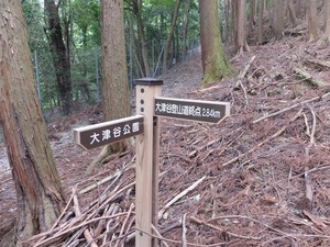 2017_0618_09095700.jpg