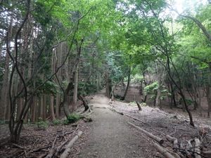2017_0618_09495300.jpg