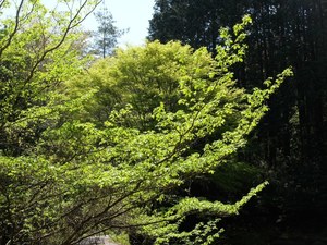 2018_0422_10224100.jpg