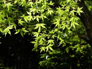 2018_0422_10305300.jpg
