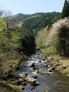 2018_0422_10595400.jpg