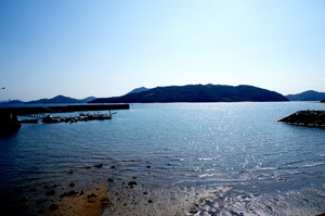 DSC03692.JPG