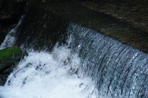 DSC05990.jpg