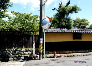 DSC06055.JPG