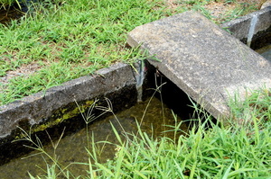 DSC06059.JPG