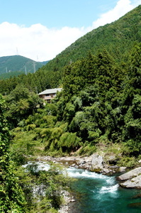 DSC06063.JPG