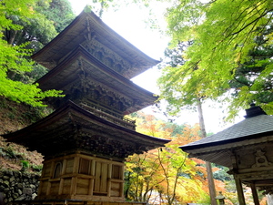 DSCF9395.JPG