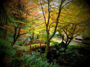 DSCF9398.JPG