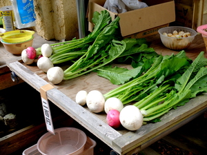 DSCF9400.JPG