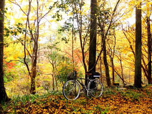 DSCF9402.JPG