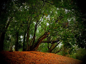 DSCF9414.JPG