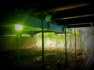 DSCF9415.JPG