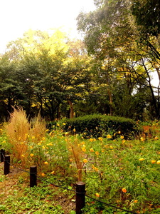 DSCF9419.JPG