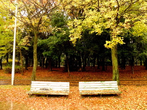 DSCF9421.JPG