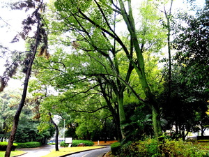 DSCF9427.JPG