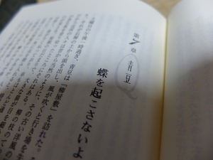 DSCF9430.JPG