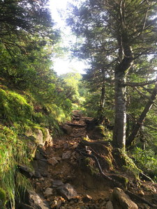 DSCN0133.JPG