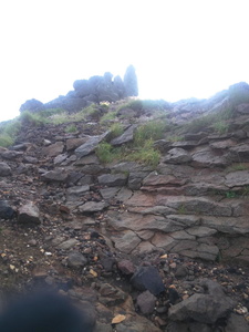 DSCN0140.JPG