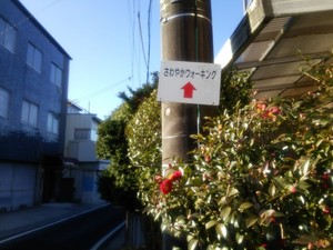 DSC_0314.jpg