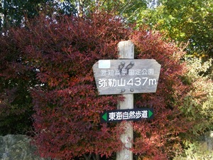 DSC_1219.jpg