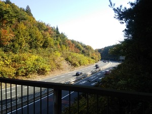 DSC_1223.jpg