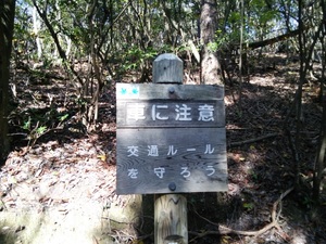 DSC_1224.jpg