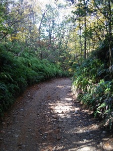 DSC_1226.jpg