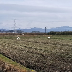 IMG20181223131818.jpg