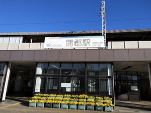 IMG20190114085930.jpg