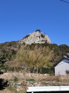 IMG20190114131108.jpg