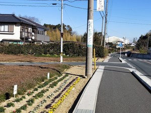 IMG20190114133424.jpg