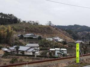 IMG20190211113525.jpg