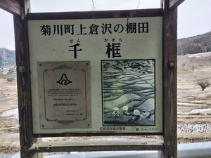IMG20190211114324.jpg