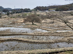 IMG20190211114334.jpg