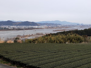 IMG20190211122730.jpg