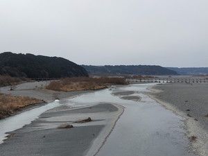 IMG20190211130526.jpg