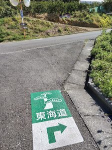 IMG20190324095816.jpg