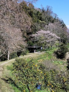IMG20190324101051.jpg
