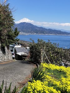 IMG20190324103248.jpg
