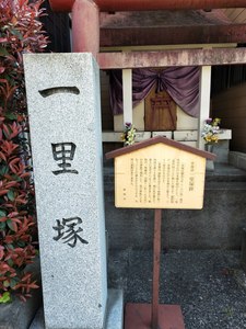 IMG20190324113742.jpg