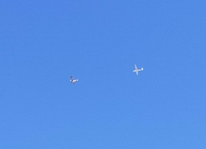 IMG20190324120402.jpg