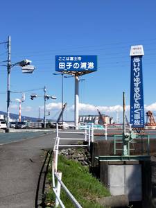 IMG20190324130146.jpg