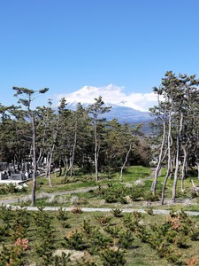 IMG20190324135121.jpg