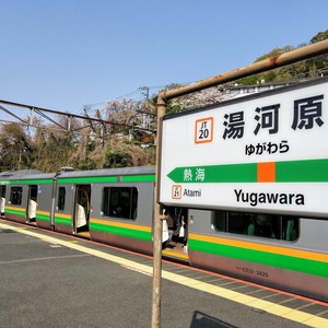 IMG20190407082814.jpg