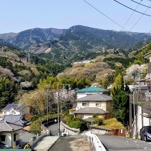 IMG20190407091405.jpg