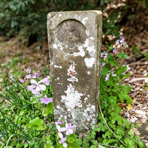 IMG20190407093720.jpg
