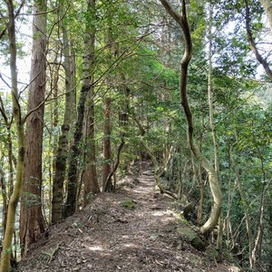 IMG20190407094749.jpg